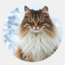 Search for winter cat stickers Pet