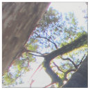 Search for rainforest fabric Australia