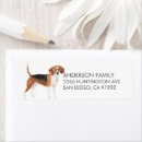 Search for beagle labels Dogs