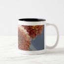 Search for high life mugs Still