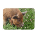Search for pig bath mats Farm animals