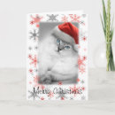 Search for grey cat christmas cards Xmas