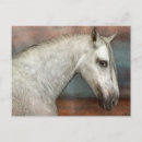 Search for dapple grey postcards Horse