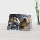 Search for otter cards Pair