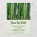 Search for bamboo save the dates Green