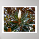 Search for budding posters Garden