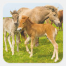 Search for chestnut horse stickers Brown
