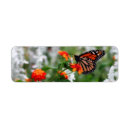 Search for butterfly design return address labels Butterflies