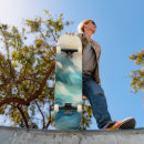 Search for meditation skateboards Nature