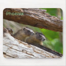 Search for groundhogs mousepads Woodchuck