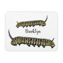 Search for monarchs magnets Butterfly