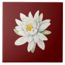 Search for water lily flower tiles Plant