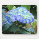 Search for garden mousepads Hydrangeas