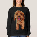 Search for cockapoo hoodies Spoodle
