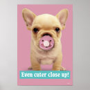 Search for pacifier posters Cute