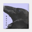Search for ravens magnets Nature