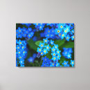 Search for forget me not flower art Blossom