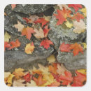 Search for stone walls stickers Autumn