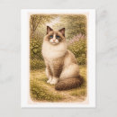 Search for rag postcards Cat