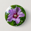 Search for hibiscus badges Floral