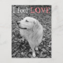 Search for golden retriever valentines day cards Animal