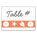 Search for seashells table cards Beach
