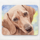 Search for dachshund mousepads Pets