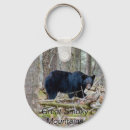 Search for smoky key rings Mountains