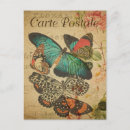 Search for vintage butterfly postcards Carte postale