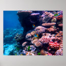 Search for coral reef posters Tropics