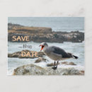 Search for gull invitations Sea