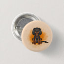 Search for orange dogs badges Spaniel