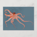 Search for octopus illustration postcards Ocean animal