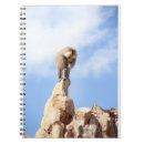 Search for baboon notebooks Monkey