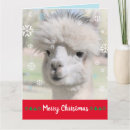 Search for alpaca christmas cards Animals