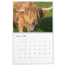 Search for cow calendars Dairy