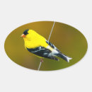 Search for goldfinch stickers Yellow