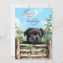 Search for affenpinscher cards Puppy
