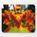 Search for orchids mousepads Flowers