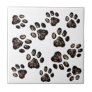Search for feline tiles Abstract
