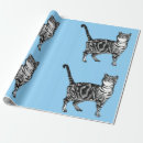 Search for pastel color wrapping paper For kids