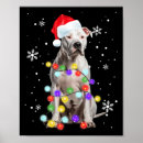 Search for pitbull posters Animals
