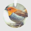 Search for robin bird christmas tree decorations Animals