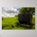 Search for buggies posters Amish