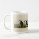 Search for billed mugs Bird