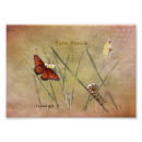Search for butterfly stamp posters Vintage