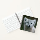 Search for habitat notebooks Animal