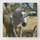 Search for peek art Pet
