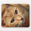 Search for kitty cat mousepads Pets