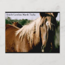 Search for marsh postcards Nature
